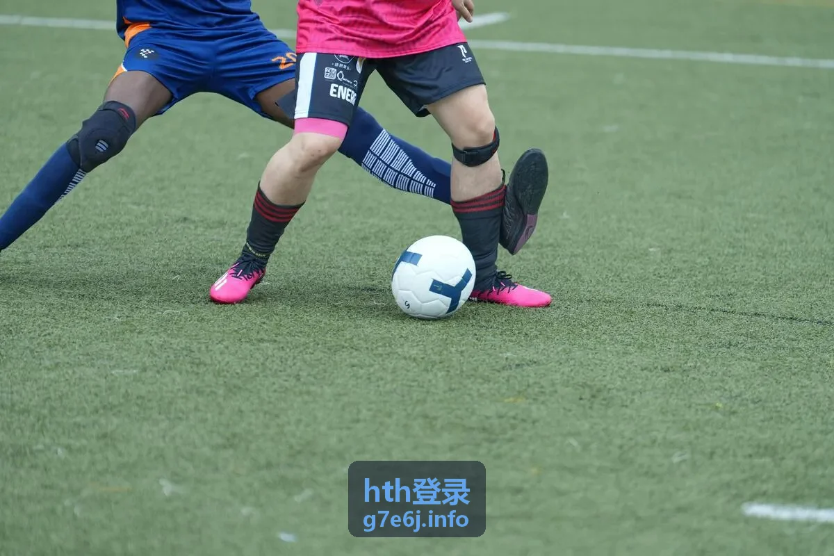 hth登录 用户评价头像